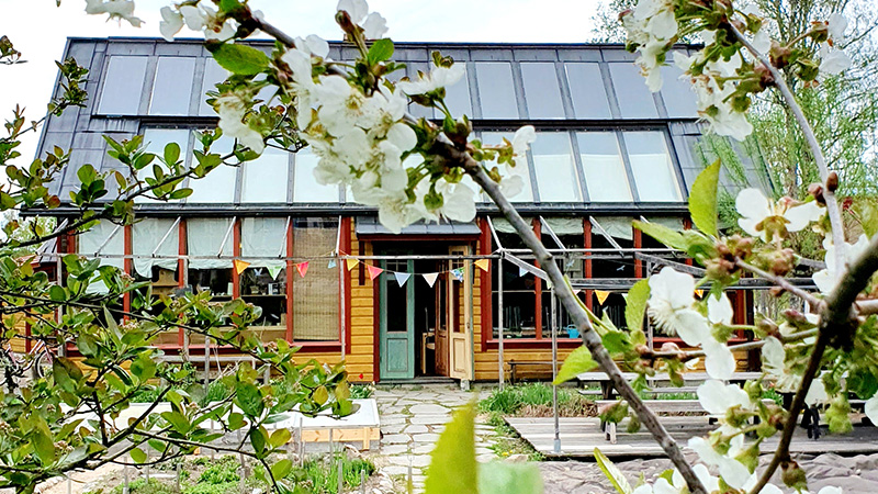 Entren till skolans hus med växter framför och runt om. 