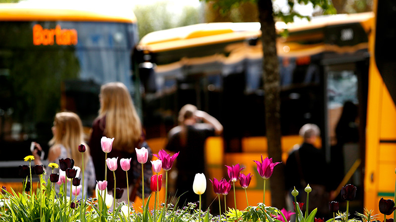 Buss och blommor
