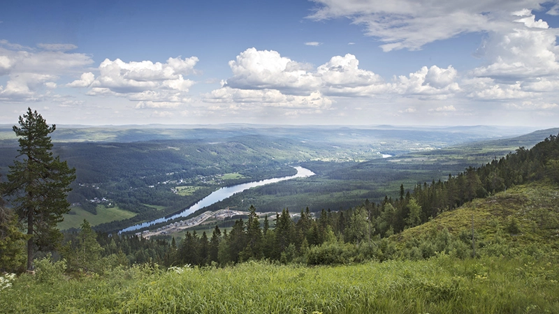 Specialist in General Medicine