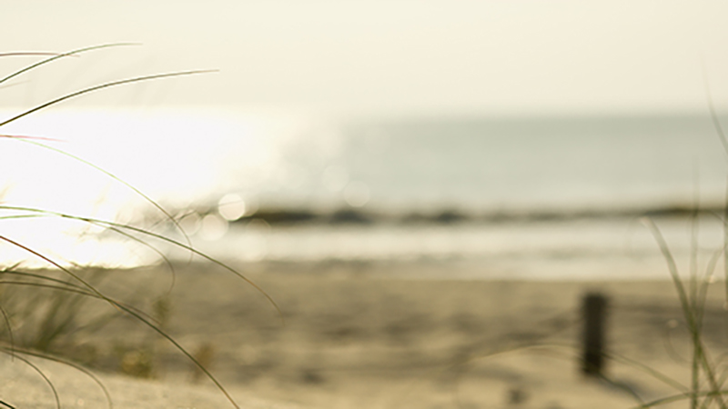 Ansökan är öppen!