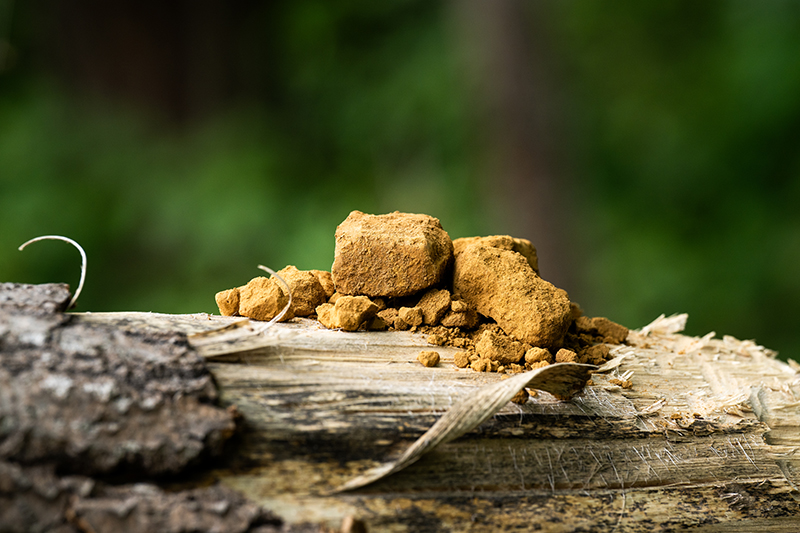 Odor-Reduced Lignin Will Revolutionize the Market