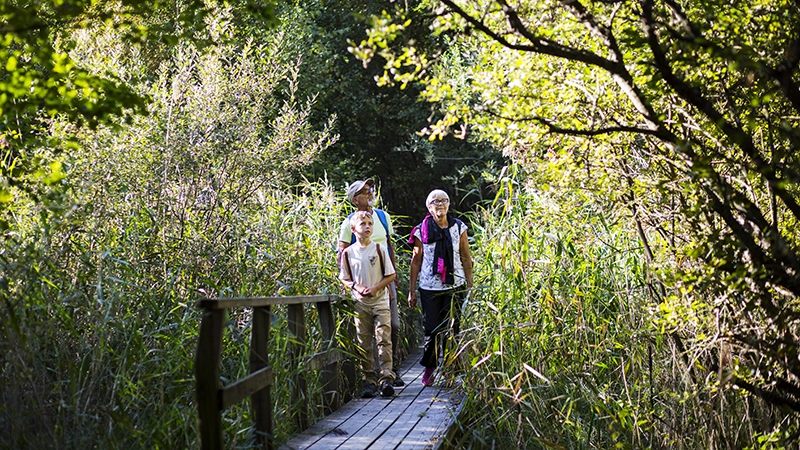 Regionplan och budget 2026 med flerårsplan 2027-2028