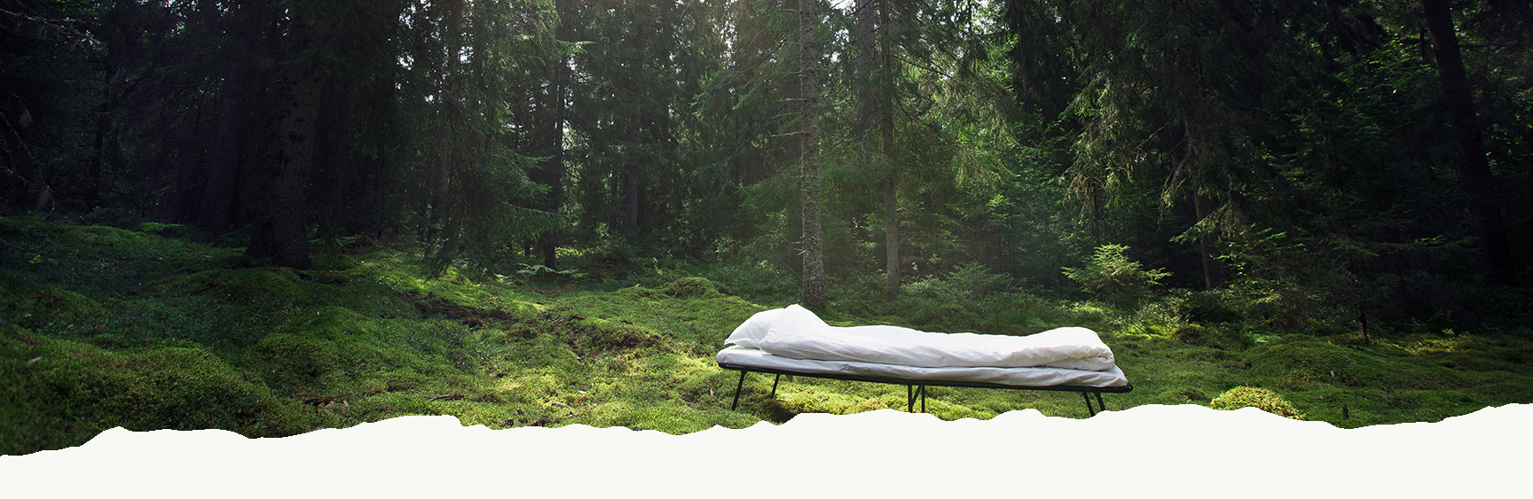 A bed standing in the forest