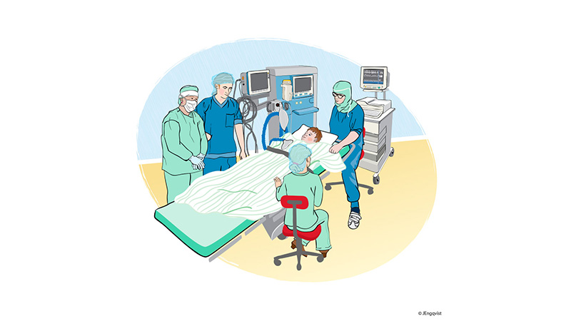 Besök av en medicinsk illustratör