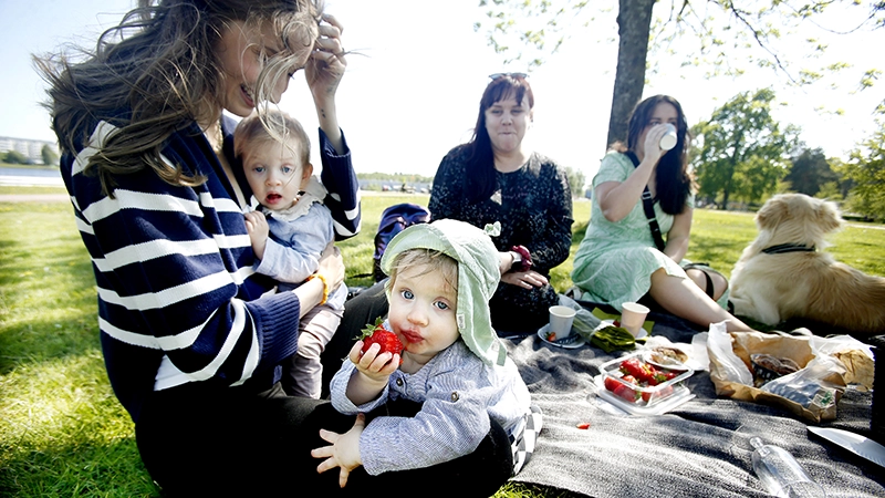 Picknick med tre vuxna och två barn och en hund. 