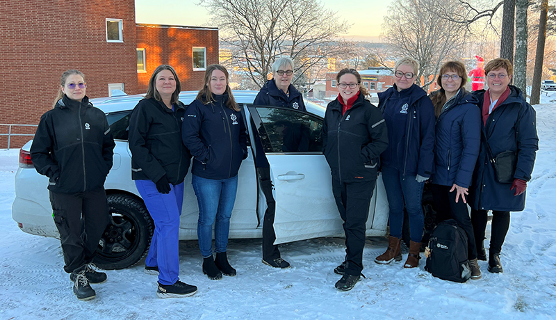 Närvårdsteam i östra Värmland 