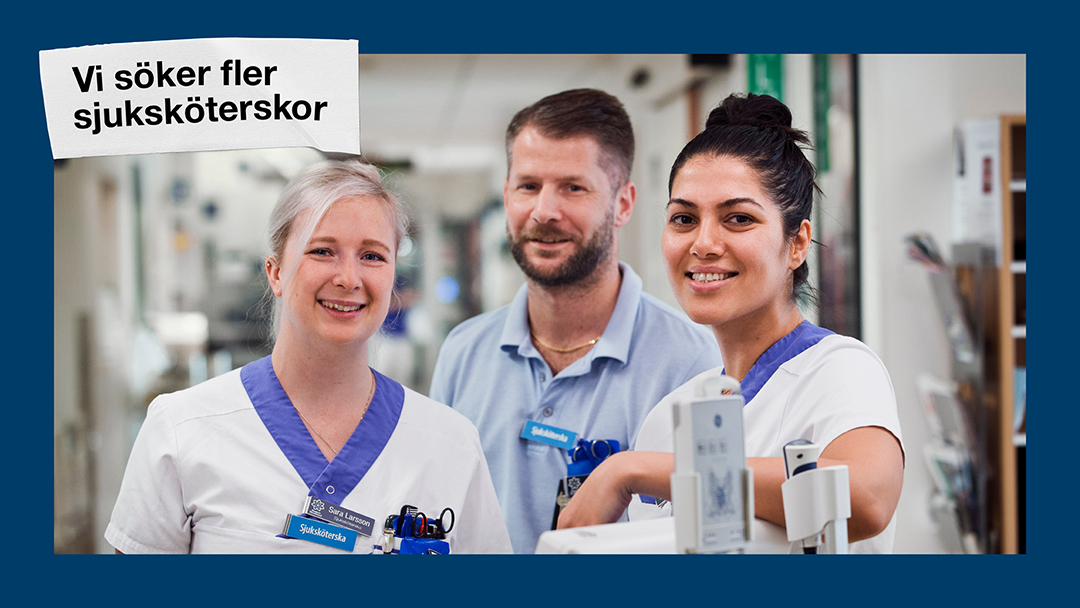 Hitta ditt skäl #365