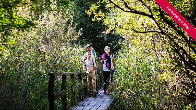 Regionplan och budget 2026 med flerårsplan 2027-2028