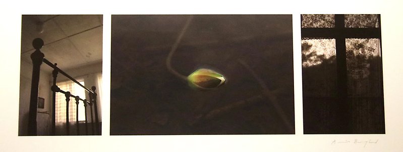 Konstnär Annica Berglunds verk Förseglade förflyttningar