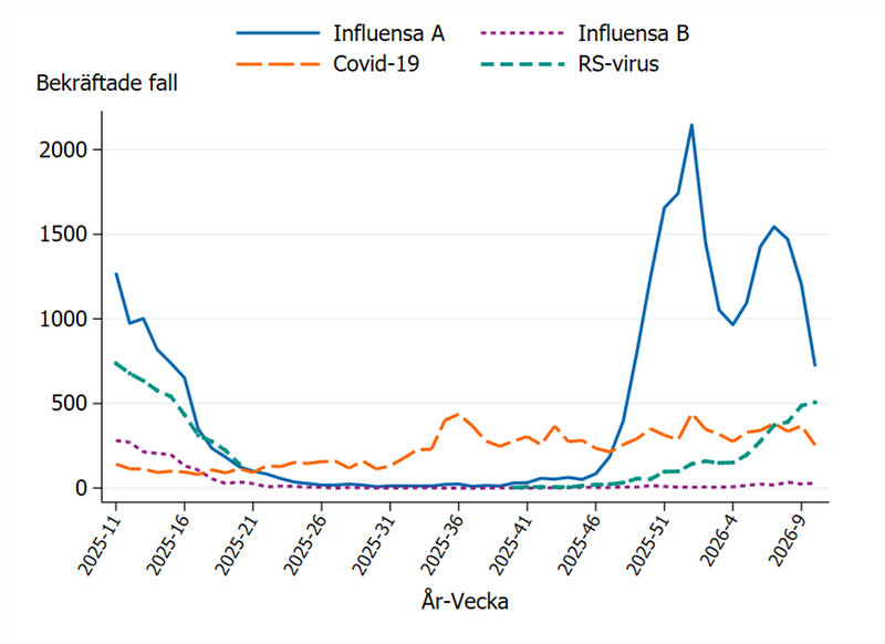 Fall av influensa, covid-19 och RS-virusinfektion de senaste 52 veckorna (Folkhälsomyndigheten)