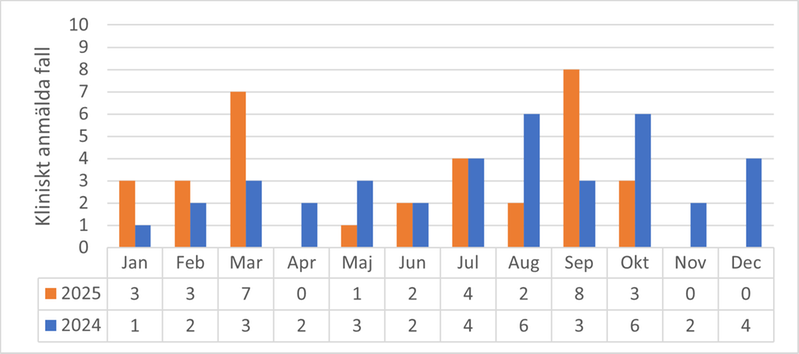 Tabell och diagram som visar antal fall av gonorré per månad i Värmland under åren 2024 och 2025.