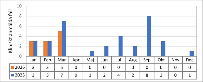 Tabell och diagram som visar antal fall av gonorré per månad i Värmland under åren 2025 och 2026.